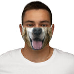 American Retriever Reusable Face Mask - DOGSTROM