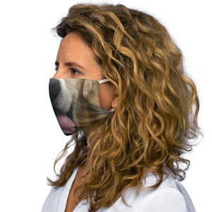 American Retriever Reusable Face Mask - DOGSTROM