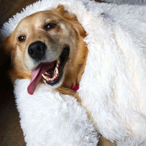 ANXIETY CALMING DOG BLANKET™ - DOGSTROM