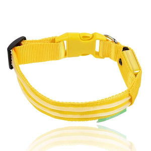 LED DOG COLLAR - USB RECHARGEABLE™ - DOGSTROM