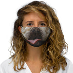 Pitbull Reusable Face Mask - DOGSTROM