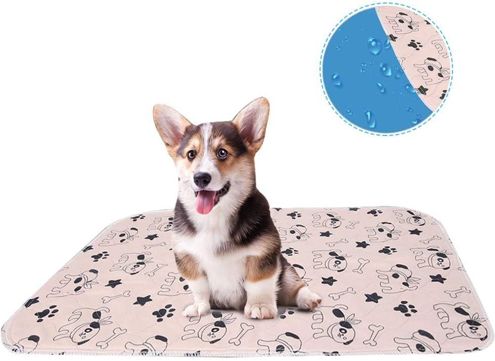 REUSABLE PEE PAD™ - DOGSTROM